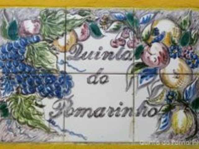 Quinta Do Pomarinho Villa Arouca Esterno foto